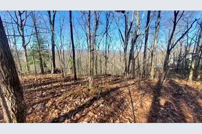 Lt 171 Doll Mountain Road, Ellijay, GA 30540 - Photo 20