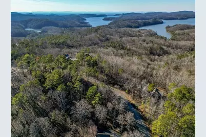 Lt 171 Doll Mountain Road, Ellijay, GA 30540 - Photo 12
