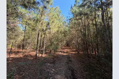 0 Hawk Road, Newnan, GA 30263 - Photo 26