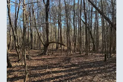 0 Hawk Road, Newnan, GA 30263 - Photo 12