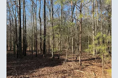 0 Hawk Road, Newnan, GA 30263 - Photo 18