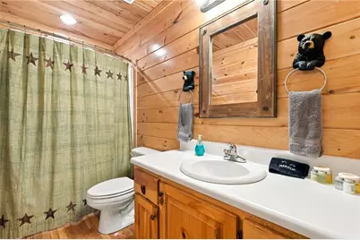253 Cohutta Overlook Trail, Blue Ridge, GA 30513 - Photo 46