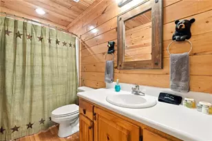 253 Cohutta Overlook Trail, Blue Ridge, GA 30513 - Photo 46