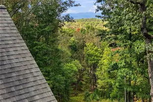 253 Cohutta Overlook Trail, Blue Ridge, GA 30513 - Photo 78