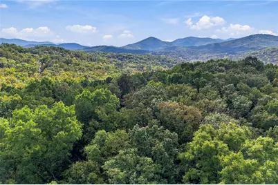 253 Cohutta Overlook Trail, Blue Ridge, GA 30513 - Photo 84