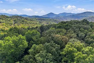253 Cohutta Overlook Trail, Blue Ridge, GA 30513 - Photo 84
