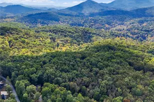 253 Cohutta Overlook Trail, Blue Ridge, GA 30513 - Photo 86