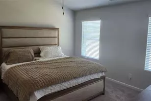 11692 Mendenhall Ct, Hampton, GA 30228 - Photo 12
