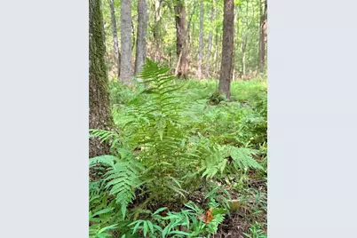 Lot 21 Skidder Way, Jasper, GA 30143 - Photo 16