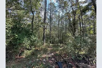 3256 Reavis Mountain Road, Ball Ground, GA 30107 - Photo 10