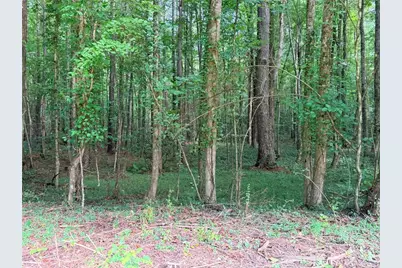 Lot 26 Skidder Way, Jasper, GA 30143 - Photo 12