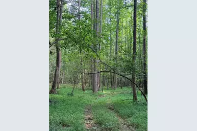 Lot 11 Pettit Road, Jasper, GA 30143 - Photo 8