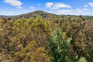 8776 Hwy 2, Epworth, GA 30541 - Photo 60