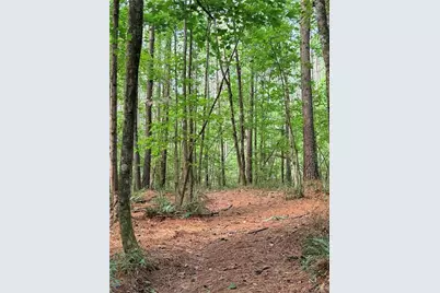 Lot 4 Pettit Road, Jasper, GA 30143 - Photo 10