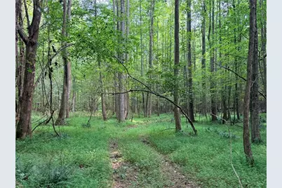 Lot 1 Pettit Road, Jasper, GA 30143 - Photo 10