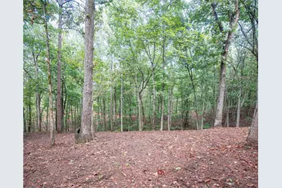 480 Pin Hook Road, Ranger, GA 30734 - Photo 6