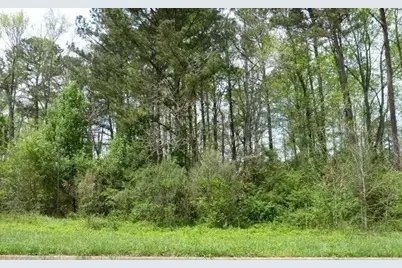 204 Benefield Court, Stockbridge, GA 30281 - Photo 8