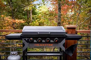 194 Cox Rd, Blue Ridge, GA 30513 - Photo 10