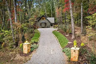 194 Cox Rd, Blue Ridge, GA 30513 - Photo 66