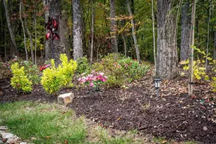 194 Cox Rd, Blue Ridge, GA 30513 - Photo 6