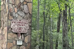 839 Enchanting Cir, Morganton, GA 30560 - Photo 46