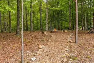 200 Plantation Ln, Blue Ridge, GA 30513 - Photo 68