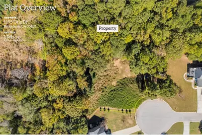 1195 Otis Drive, Bethlehem, GA 30620 - Photo 2