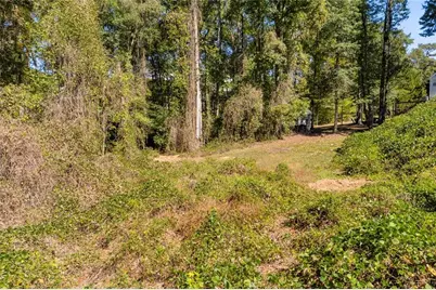 1195 Otis Drive, Bethlehem, GA 30620 - Photo 10