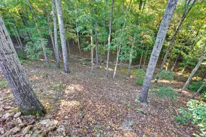 361 Bluebird Lane, Blue Ridge, GA 30513 - Photo 60