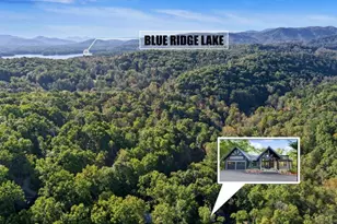 361 Bluebird Ln, Blue Ridge, GA 30513 - Photo 4