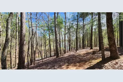 7078 Wild Azalea Circle, Big Canoe, GA 30143 - Photo 52