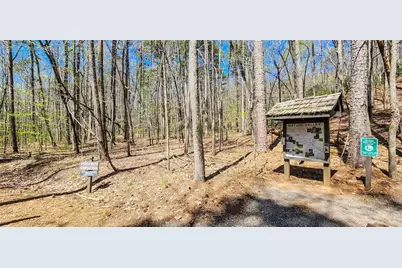 7078 Wild Azalea Circle, Big Canoe, GA 30143 - Photo 34