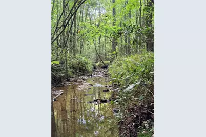 Lot 14 Pettit Road, Talking Rock, GA 30175 - Photo 4