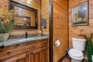 50 West Shalom Court, Blue Ridge, GA 30513 - Photo 90