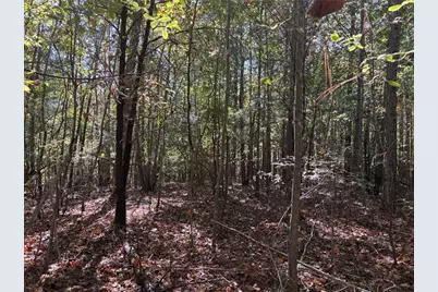 1515 Old Ridgeway Road, Bremen, GA 30110 - Photo 14