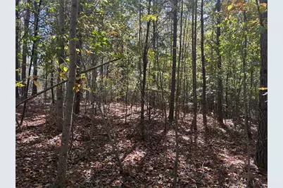 1515 Old Ridgeway Road, Bremen, GA 30110 - Photo 12