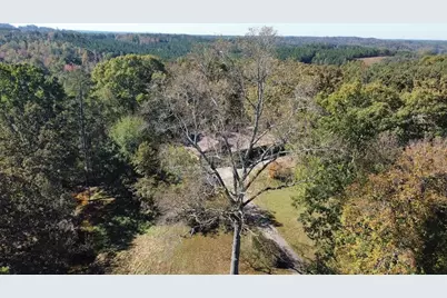 455 Roy Brown Road, Buchanan, GA 30113 - Photo 96
