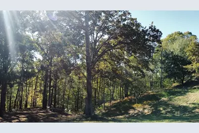 455 Roy Brown Road, Buchanan, GA 30113 - Photo 100