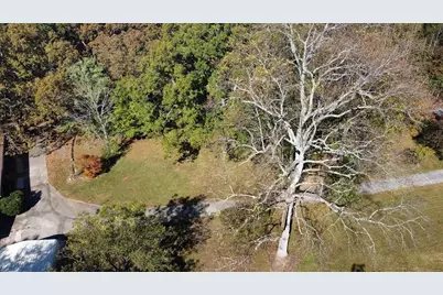 455 Roy Brown Road, Buchanan, GA 30113 - Photo 98