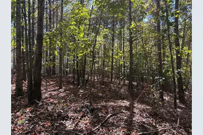 1585 Old Ridgeway Road, Bremen, GA 30110 - Photo 6