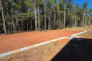 335 Meadows Dr, Bethlehem, GA 30620 - Photo 32