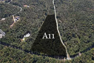 11300 Hutcheson Ferry Rd, Chattahoochee Hills, GA 30268 - Photo 1