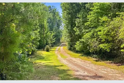 2762 Lester Mill Road, Locust Grove, GA 30248 - Photo 38