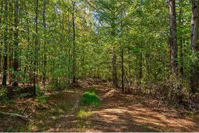 3249 Wax Road SE, Aragon, GA 30104 - Photo 6