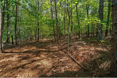 0 Wax Road SE, Aragon, GA 30104 - Photo 8