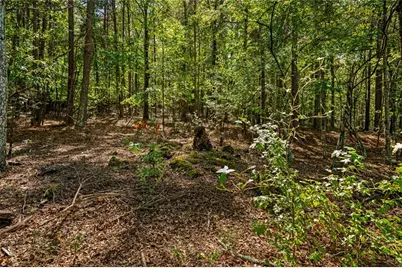 0 Wax Road SE, Aragon, GA 30104 - Photo 6