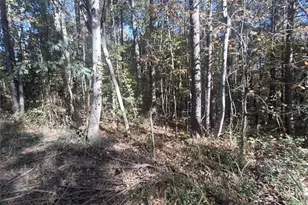 0 Old Hamilton Mills Rd, Bremen, GA 30110 - Photo 1