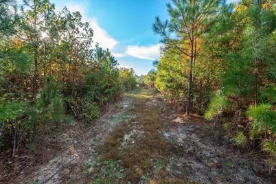0 Bremen Mt Zion Road, Waco, GA 30182 - Photo 6