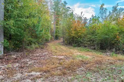 0 Bremen Mt Zion Road, Waco, GA 30182 - Photo 8