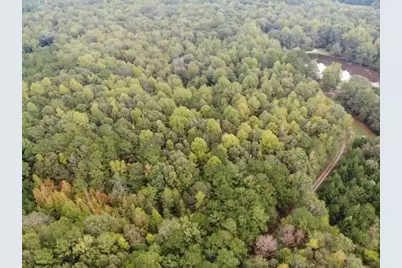 0 Williams Mill Road, Zebulon, GA 30295 - Photo 1